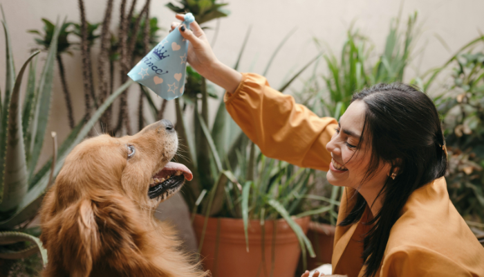 Organizar fiestas para mascotas puede ser muy sencillo