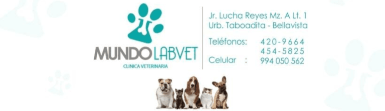 PORTADA M365 1520X420 22 768x222