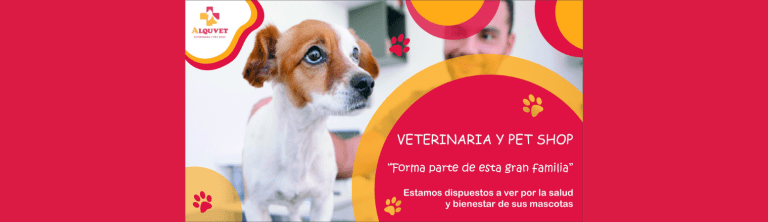 PORTADA M365 1520X420 23 768x222