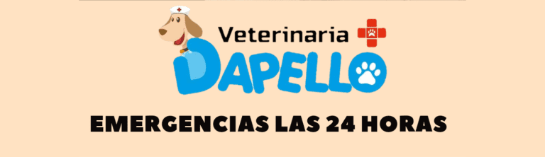 PORTADA M365 1520X420 26 768x222