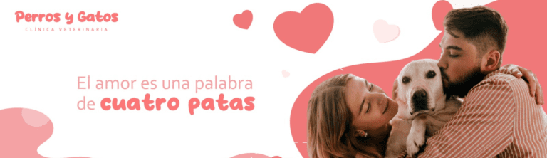 PORTADA M365 1520X420 27 768x222
