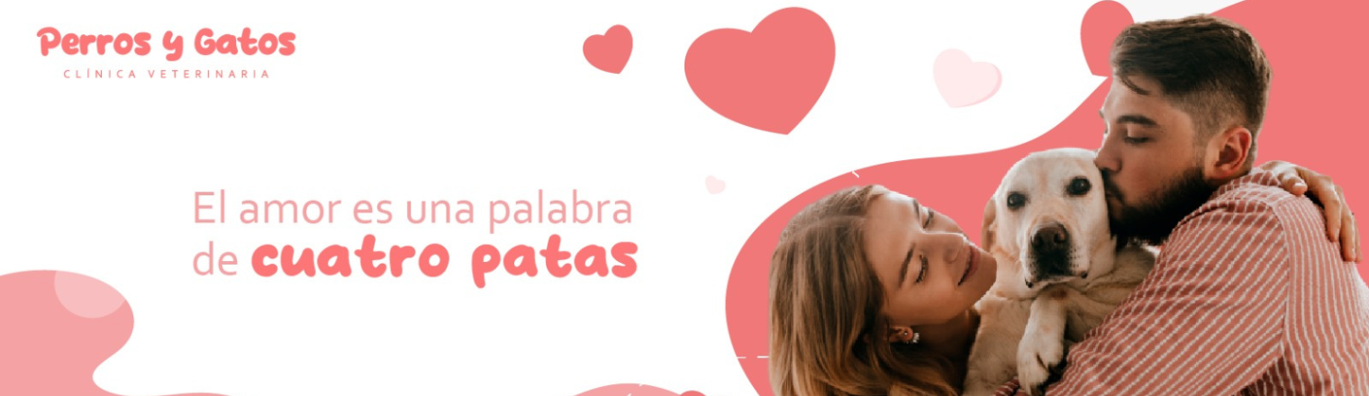Veterinaria Perros y Gatos