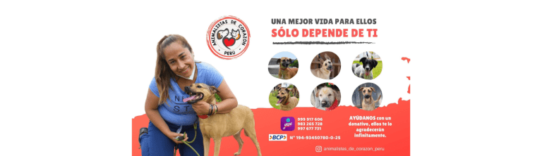 PORTADA M365 1520X420 9 768x222