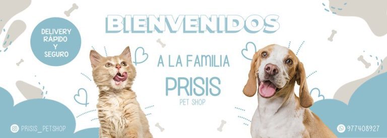 portada pt