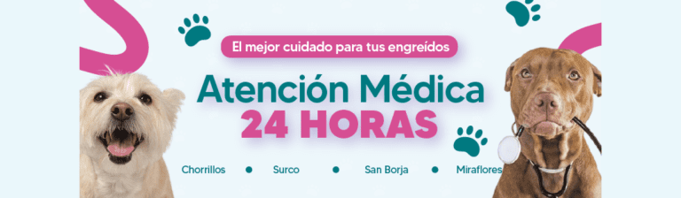 portada pt
