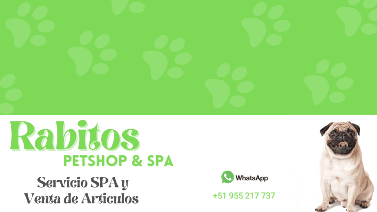 portada pt