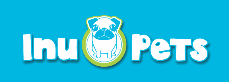 portada pt