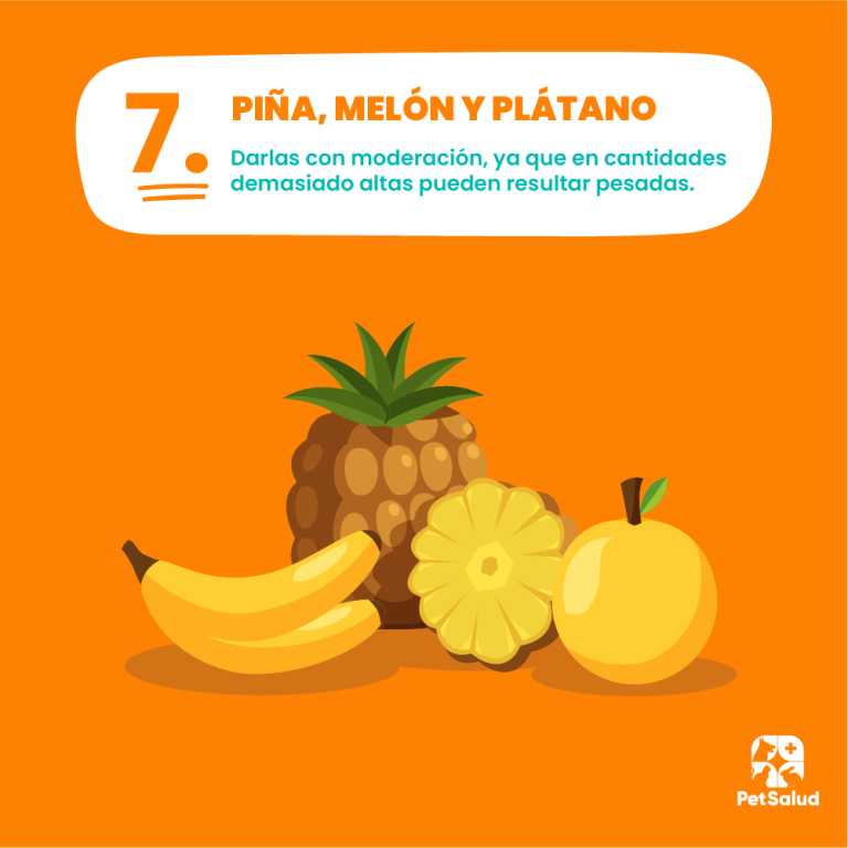 Pet Salud (Breña)4