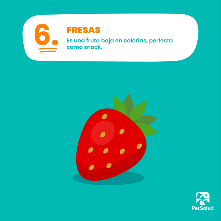 Pet Salud (Breña)3