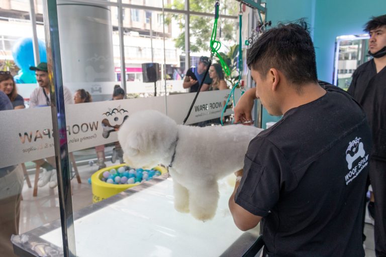 Woof Spaw3