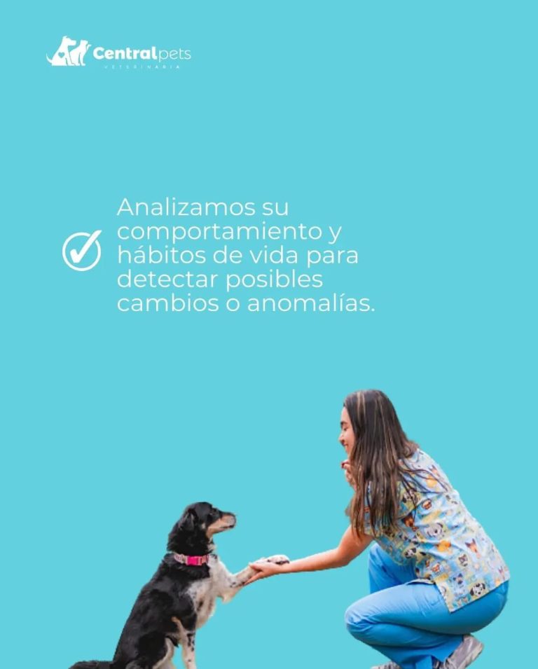 central pets 10 768x955