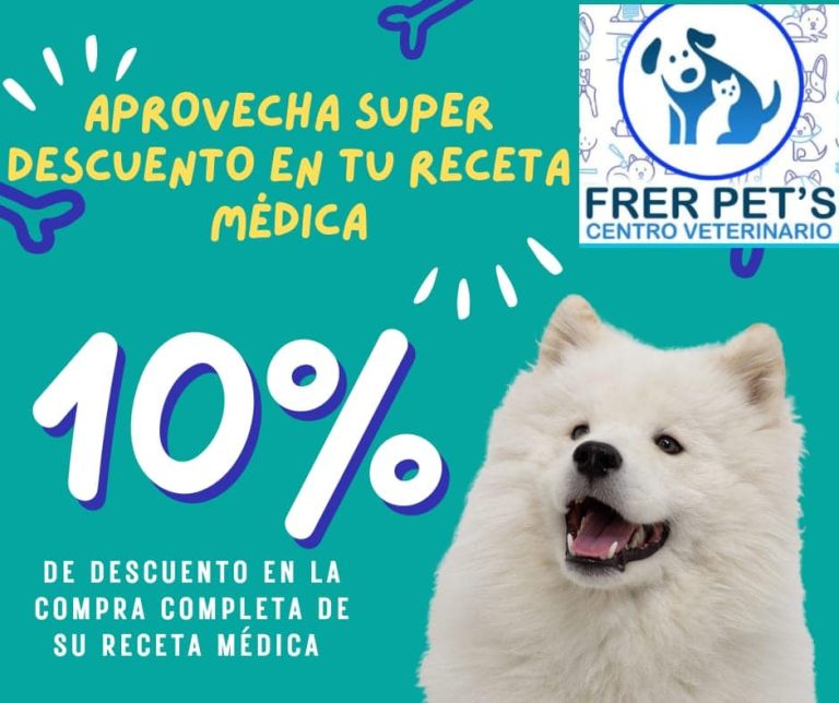 frer pets imagen 2 768x644