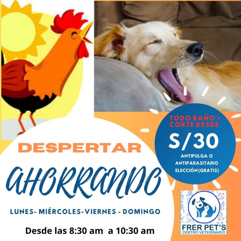 frer pets imagen 3 768x768