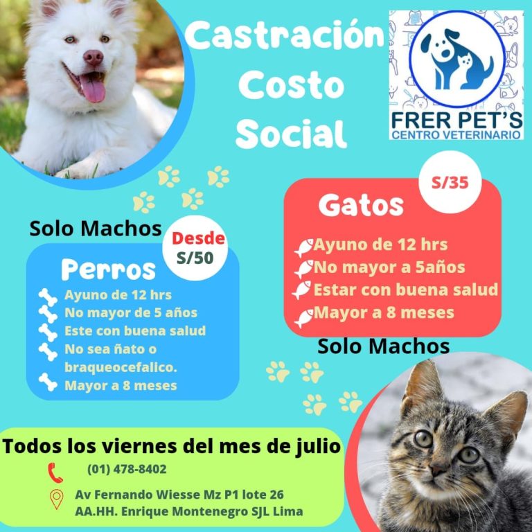 frer pets imagen 4 768x768