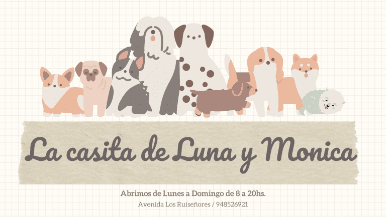 portada pt