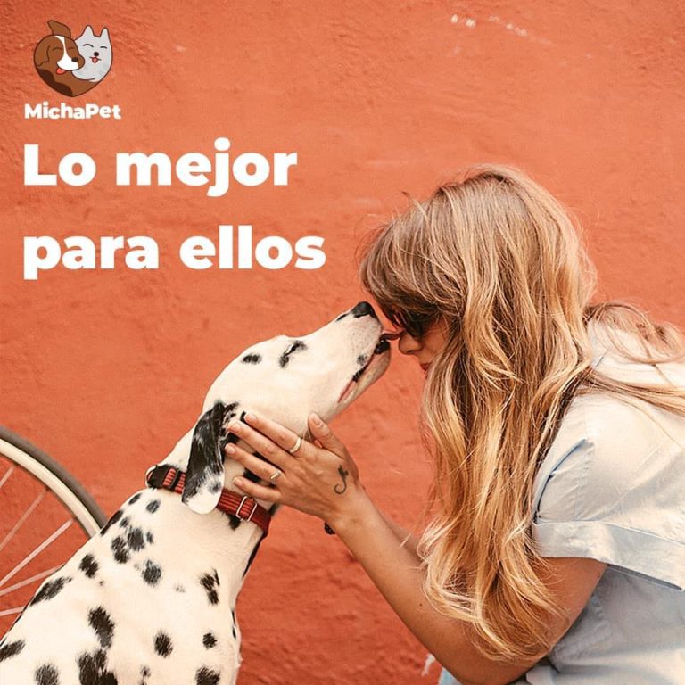 portada pt