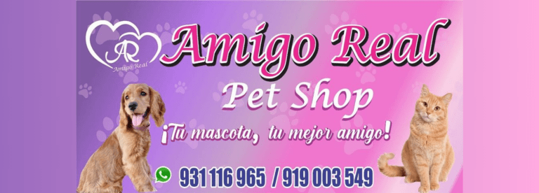 portada pt