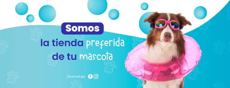 portada pt