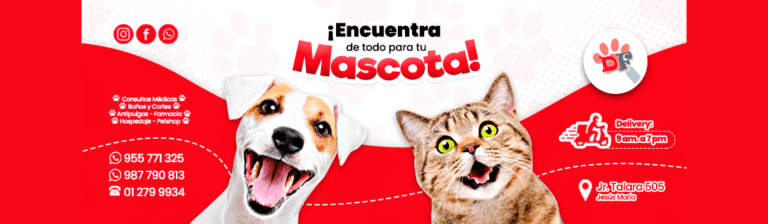 portada pt