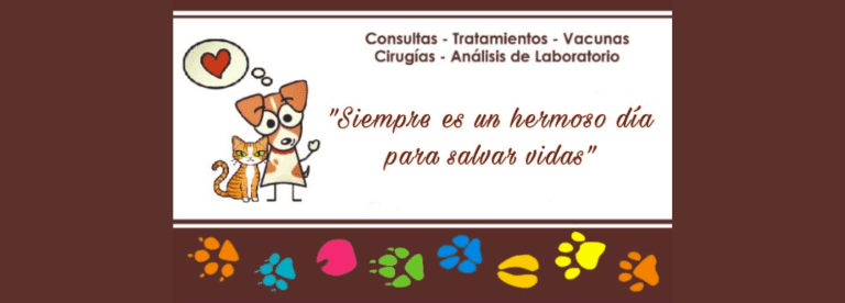 portada pt