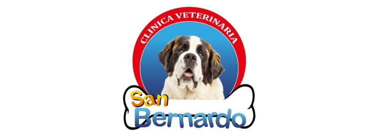 portada pt