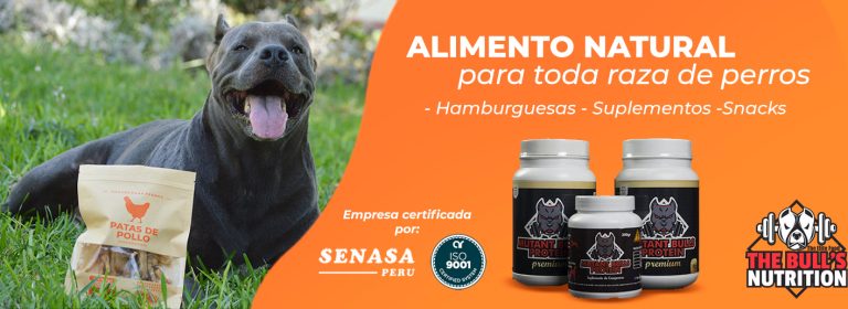 portada pt