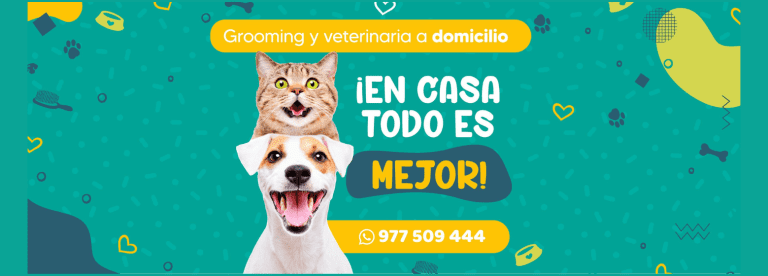 portada pt