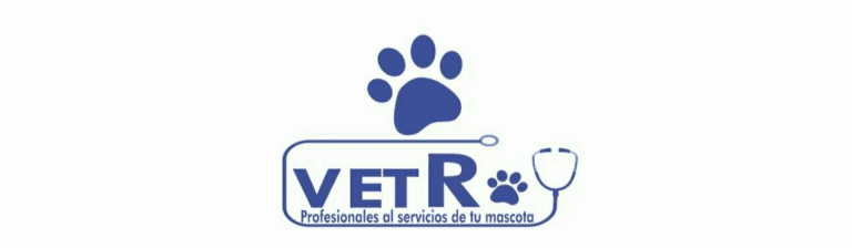 portada pt