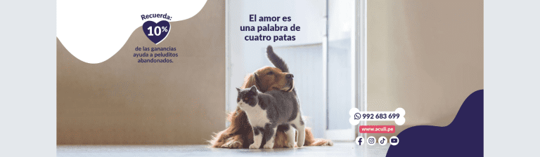 portada pt