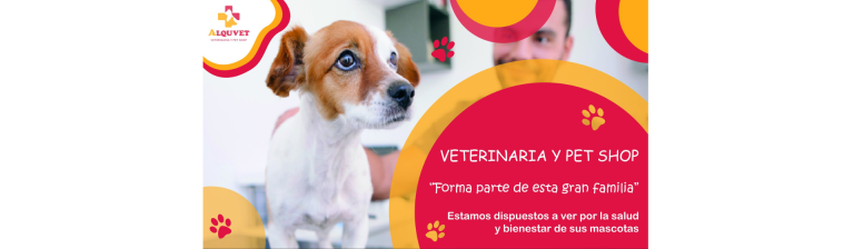 Veterinaria Alquvet3