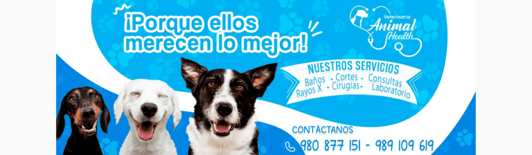 portada pt