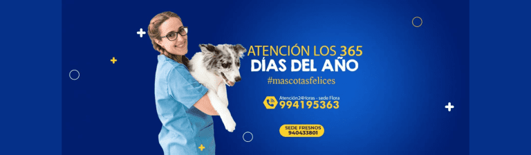portada pt