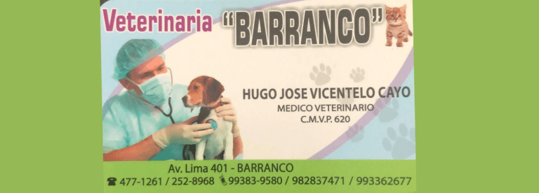 portada pt
