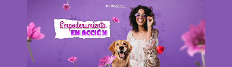 portada pt