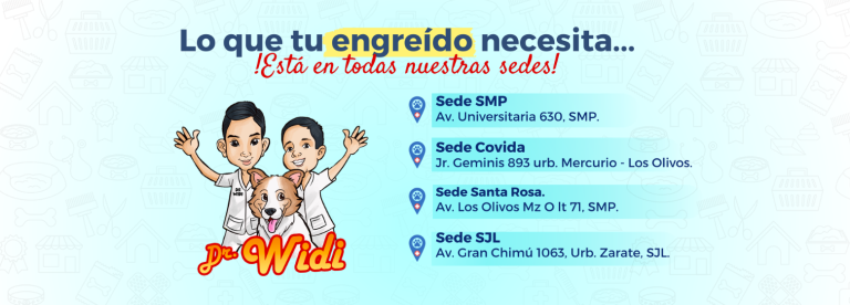 Veterinaria Dr. Widi1