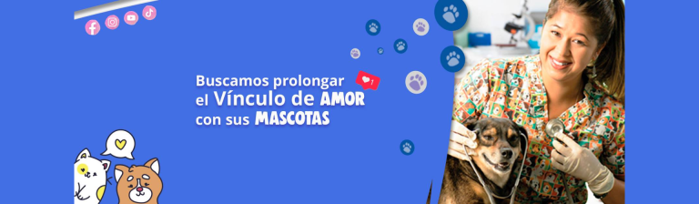 portada pt