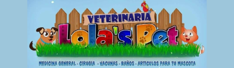 portada pt