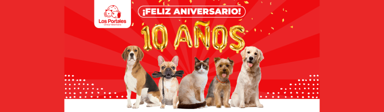 portada pt
