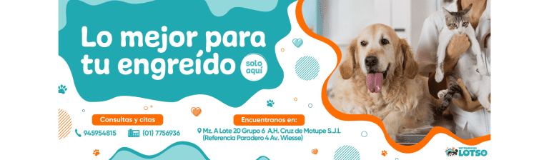 portada pt