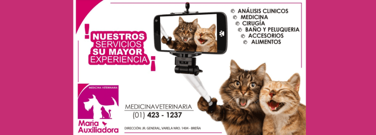 portada pt