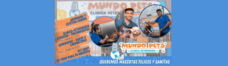 portada pt