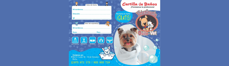 portada pt