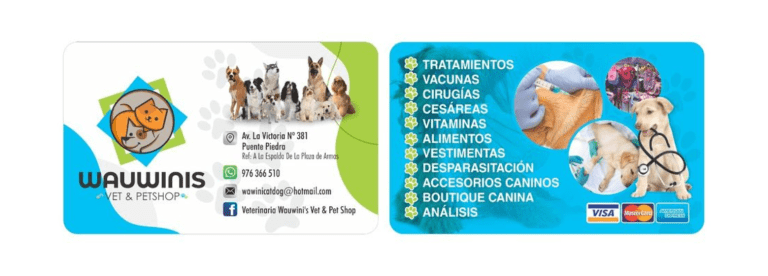 portada pt