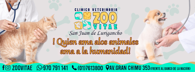 portada pt