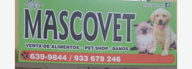 portada pt