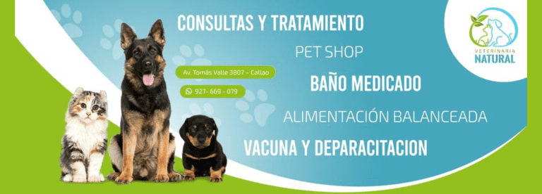 portada pt