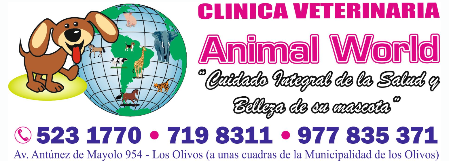 Veternaria Animal World