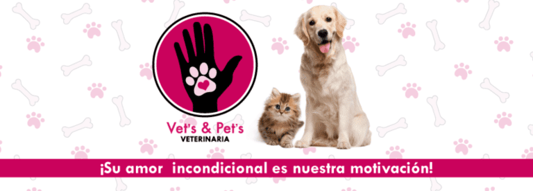 portada pt