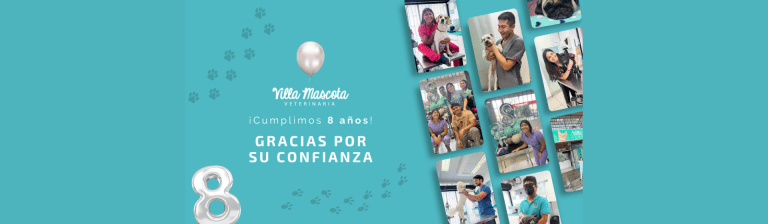 portada pt