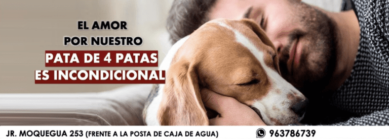 portada pt